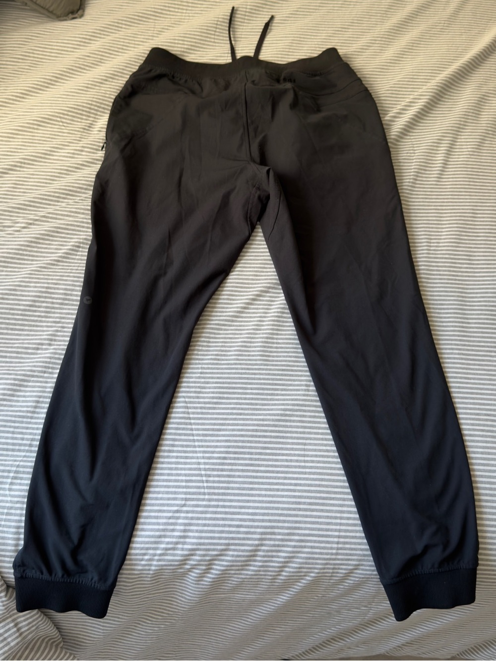 Men’s Birddogs Sweatpants - Picture 2 of 3